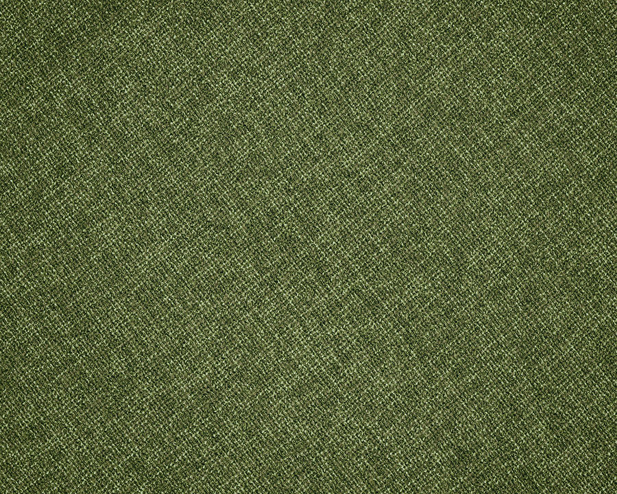 Green Canvas Fabric Photograph by Billnoll
