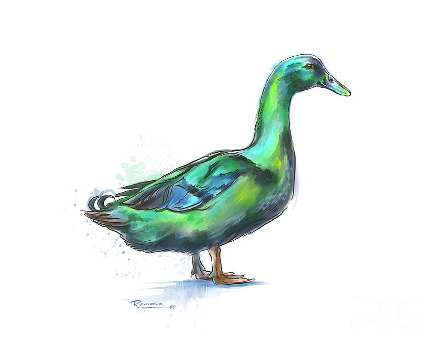 Green Cayuga Duck Digital Art by Ramona Kurten