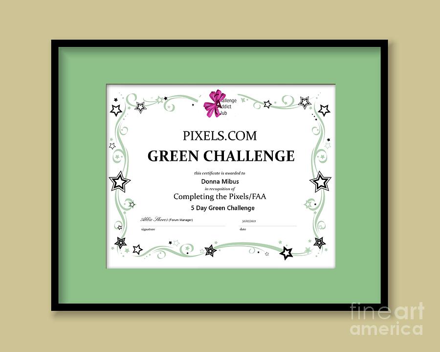 Green Challenge Certificate Digital Art by Donna Mibus