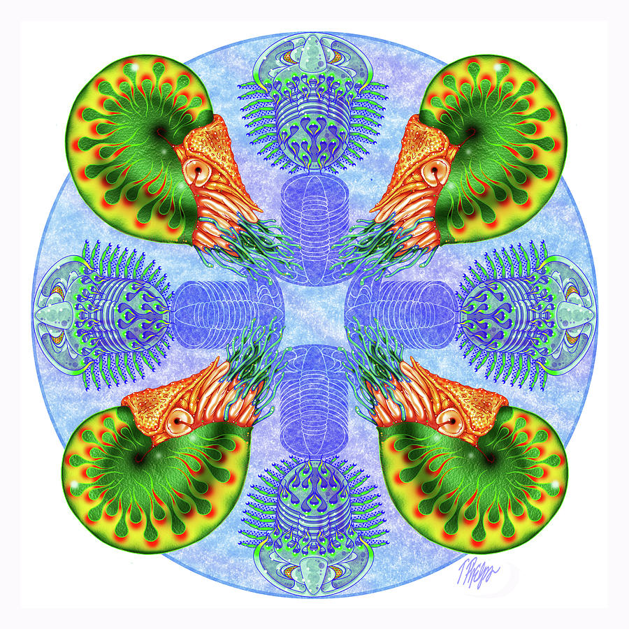 Green Chambered Nautilus Nature Mandala Digital Art by Tim Phelps