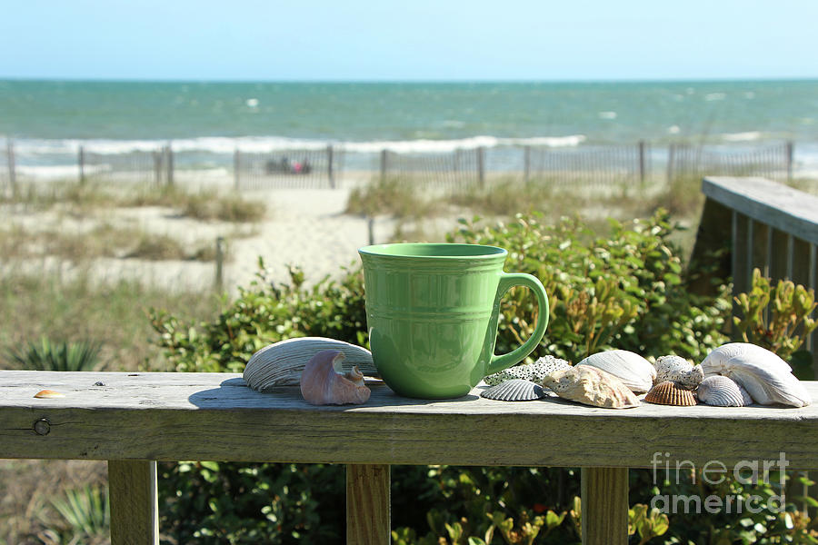 Green Coffee Cup and Sea Shells 7132 Photograph by Jack Schultz