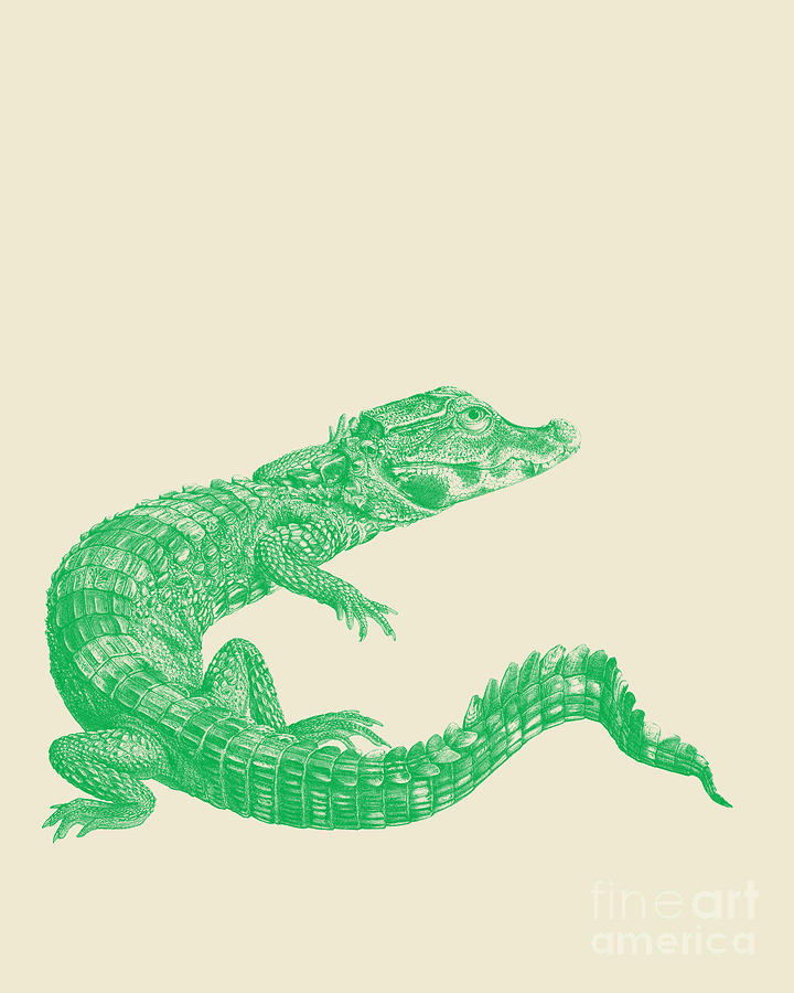 Crocodile Digital Art - Green Crocodile by Madame Memento