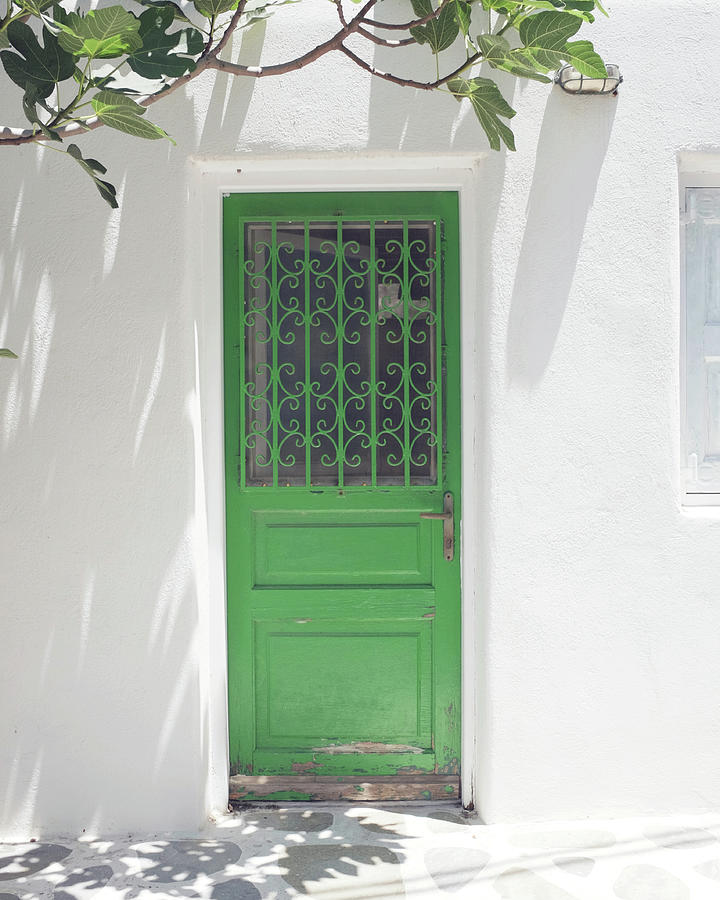 Green Door and Fig Tree Photograph by Lupen Grainne