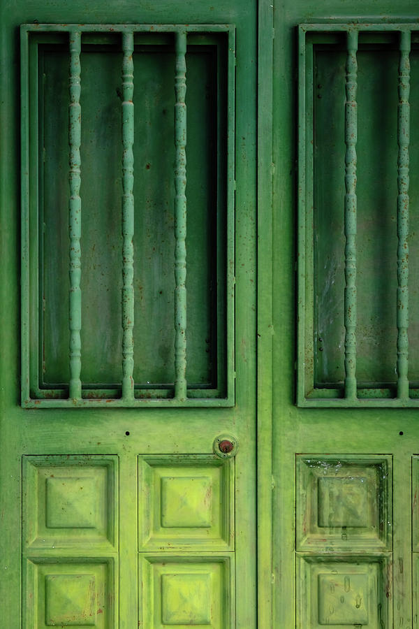 Green door Photograph by Gary Browne