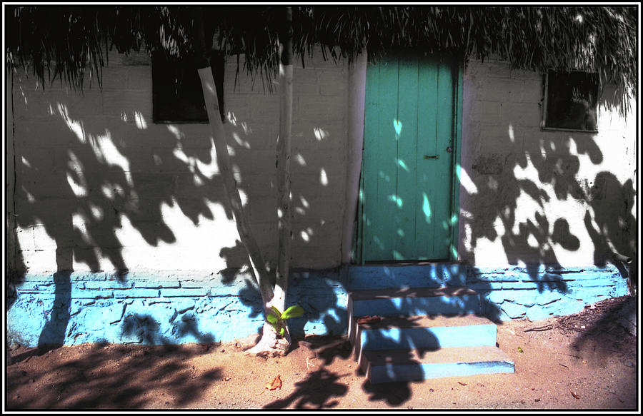 Green Door in Mexico Photograph by Wayne King