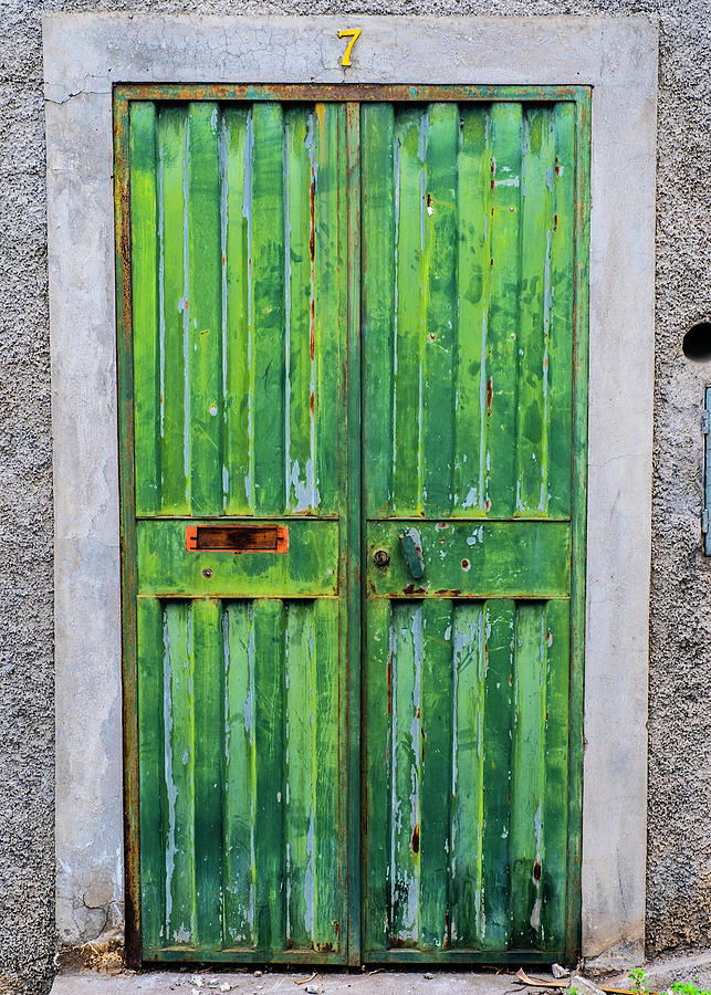Green Door Photograph by William Dougherty