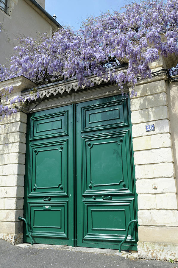 Green door with Wisteria plant in bloom, Nevers, Nievre, Burgundy, France Photograph by Kevin Oke