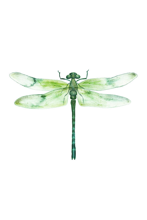 Flying green dragonfly painting. Colourful dragonfly art. Dragonfly gift  Art Print by PlumpPlumStudio