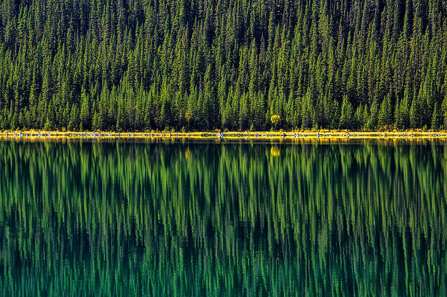 Green Dream.... Photograph by Jeff Day - Pixels