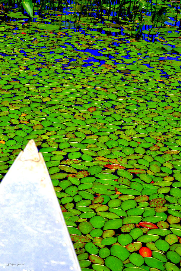 Canoeing Photograph - Green Dream by Zafer Gurel