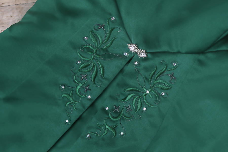 Green Dress Close Up Photograph by Sharon Popek