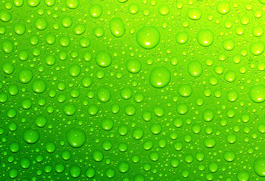 Green  Drops Photograph by Ale-ks