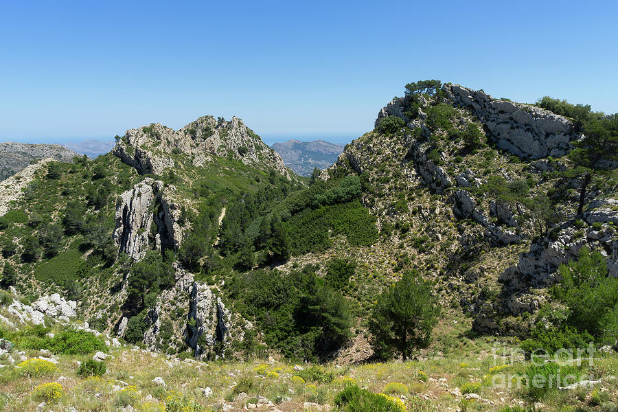 Green expanse and mountain ridge Photograph by Adriana Mueller