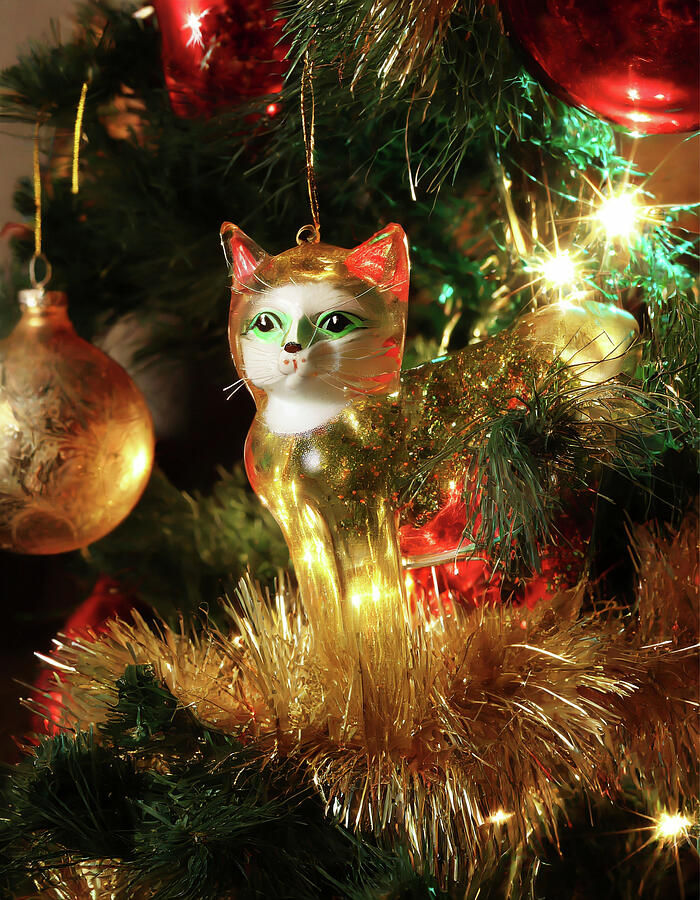 Green Eyed Glass Cat Christmas Ornamnent 1 Digital Art by David Smith