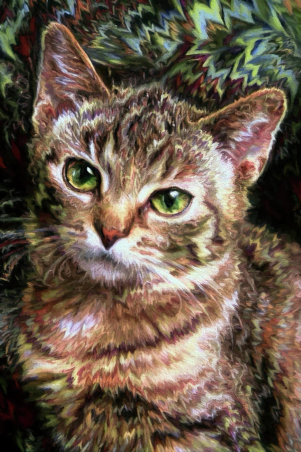 Green Eyed Tabby Kitten Digital Art by Peggy Collins