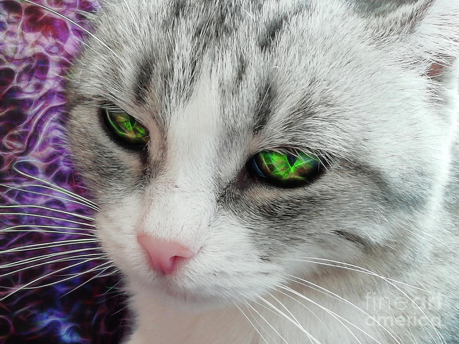 Green Eyes - Dashka Photograph