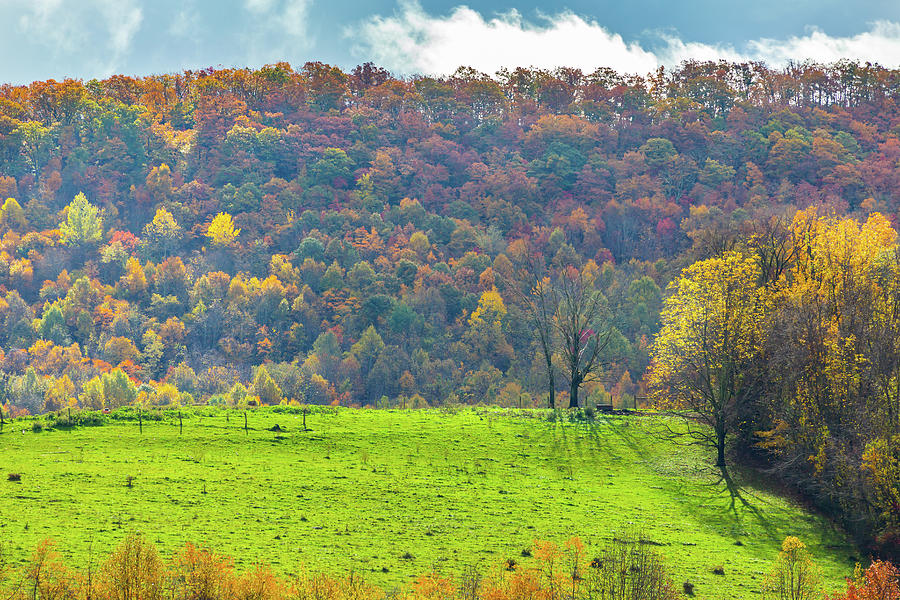 Green Field and Fall Colors Photograph by Marc Crumpler