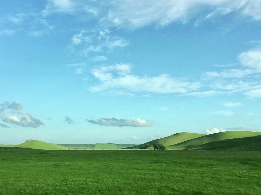 Green Field Blue Sky Photograph by Masha Batkova
