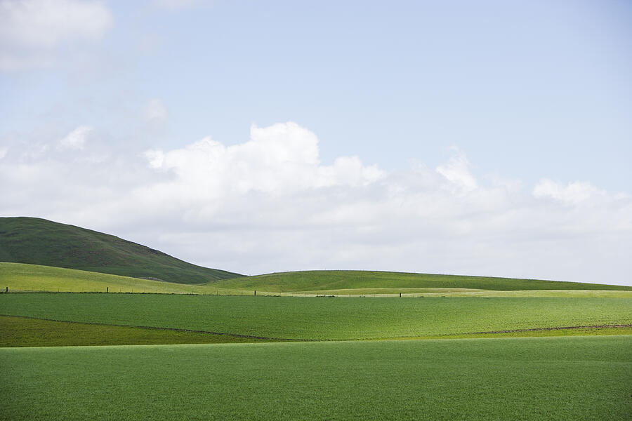 Green fields and hills Photograph by Paul Taylor