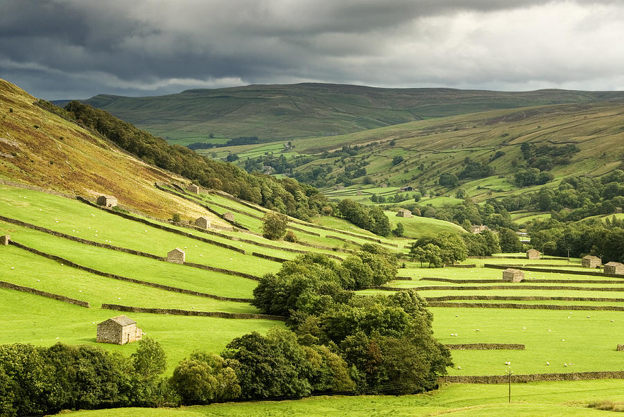 Green fields at Swaledale, Yorkshire Photograph by JayKay57