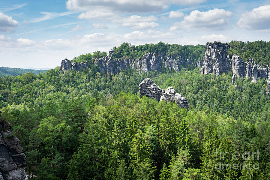 Green forest and sandstones in the Bastei area, Saxon Switzerland Photograph by Adriana Mueller