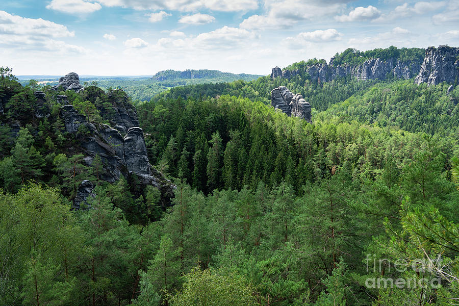 Green forest and view towards the Bastei mountain, Saxon Switzerland Photograph by Adriana Mueller
