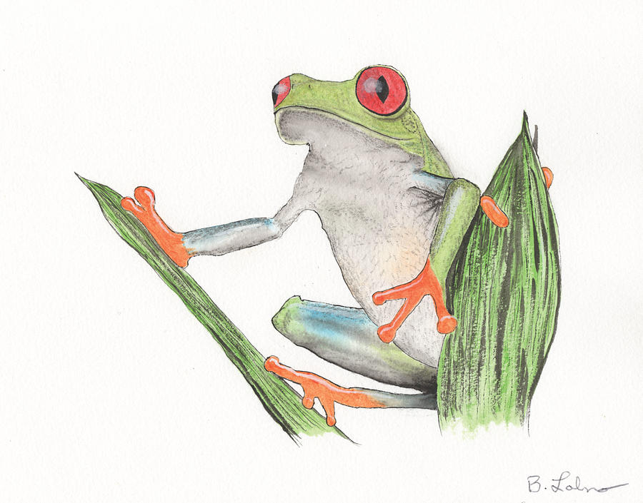 Red Eyed Tree Frog #2 Painting by Bob Labno