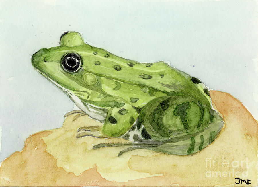 Green Frog Painting by Jackie Irwin
