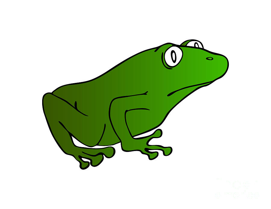 Green Frog Drawing by Michal Boubin
