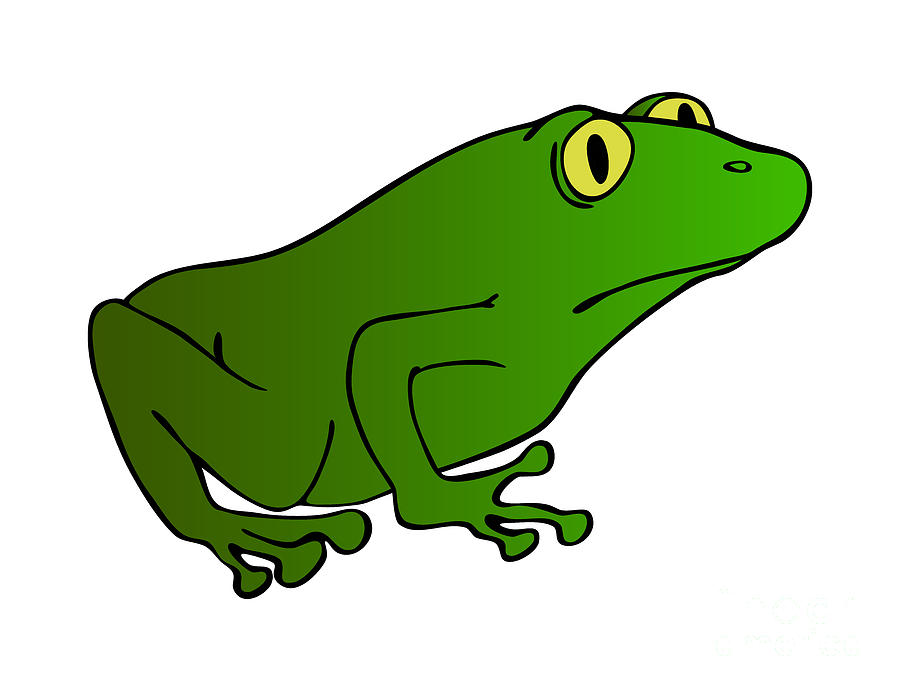 Green Frog With Yellow Eyes Drawing