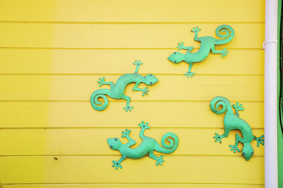 Green Geckos On Yellow Wall Photograph
