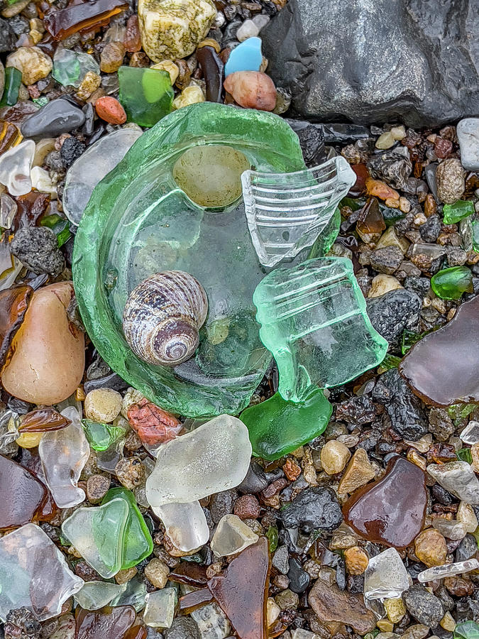 Green Glass and Snail Shell Photograph by Cate Franklyn