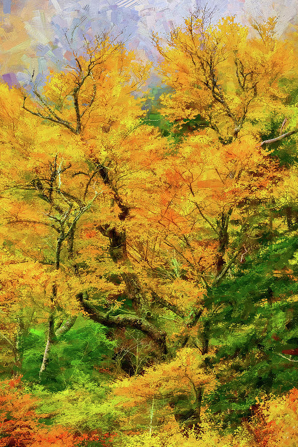 Green Gold and Yellow Autumn Trees ap Painting by Dan Carmichael