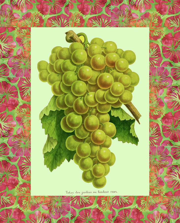 Green Grapes in Batik Frame Digital Art by Lorena Cassady