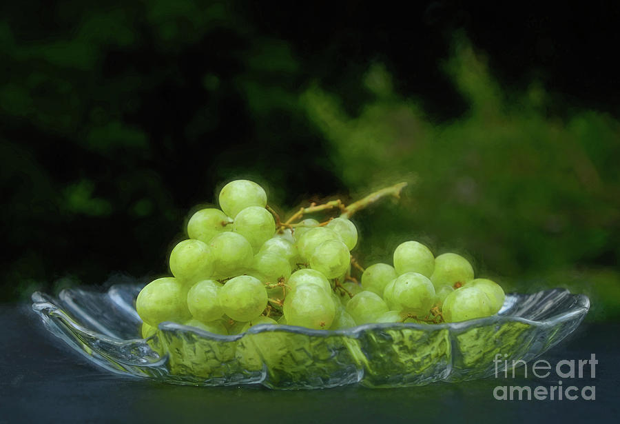 Green Grapes on Glass Plate by Kaye Menner Photograph by Kaye Menner