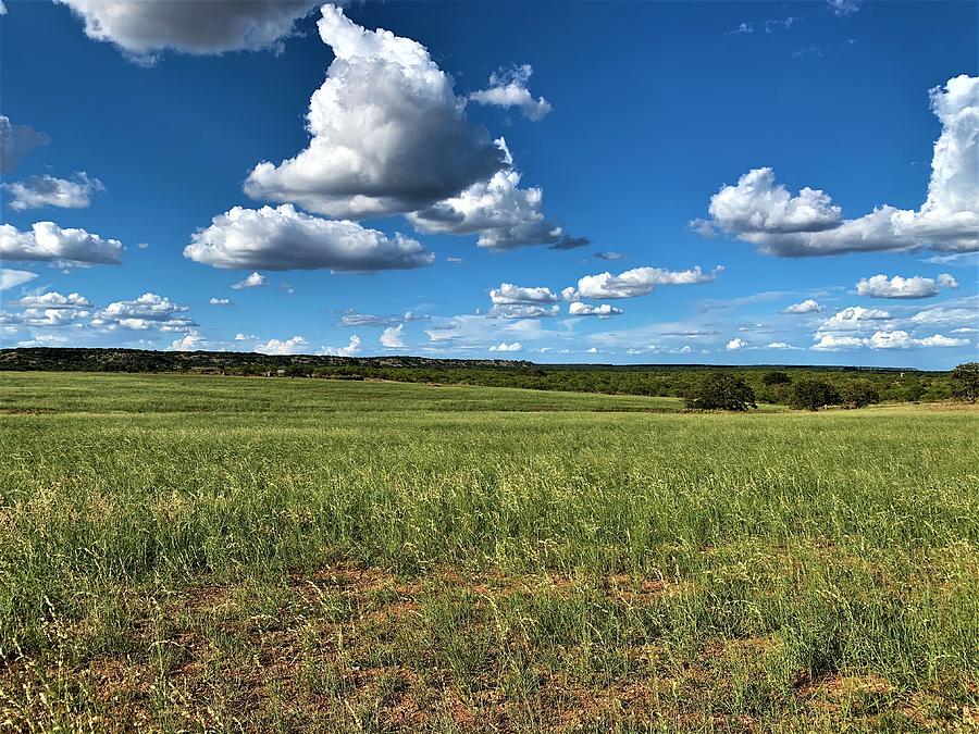 Green Grass and Blue Skies Photograph by Deloris Lindsay