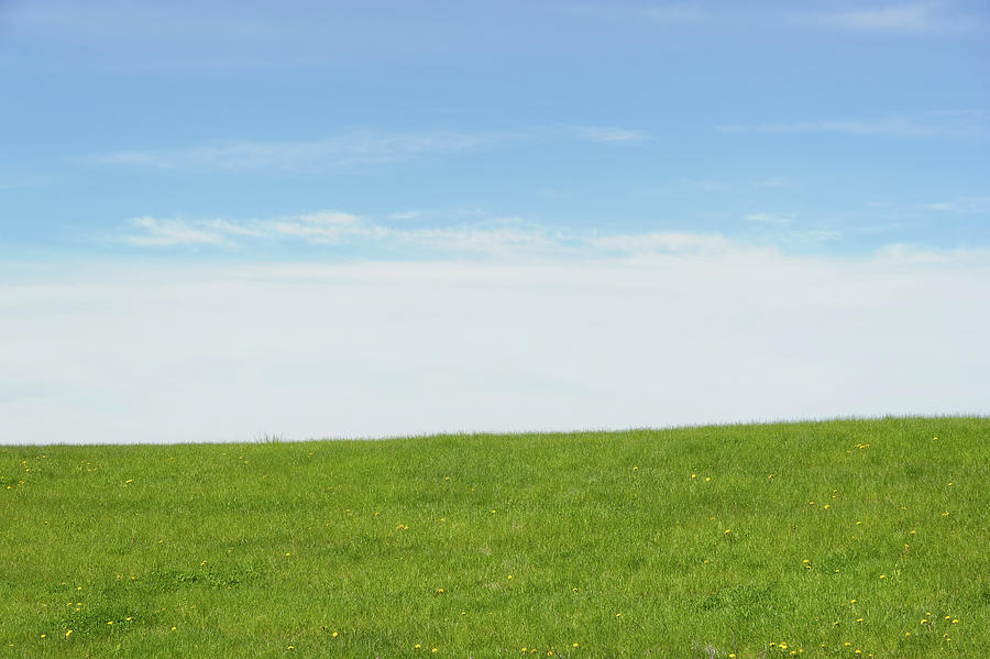 Green Grass And Blue Sky Photograph