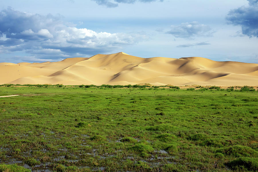 Green grass in front of sand dunes Gobi Photograph by Mikhail Kokhanchikov