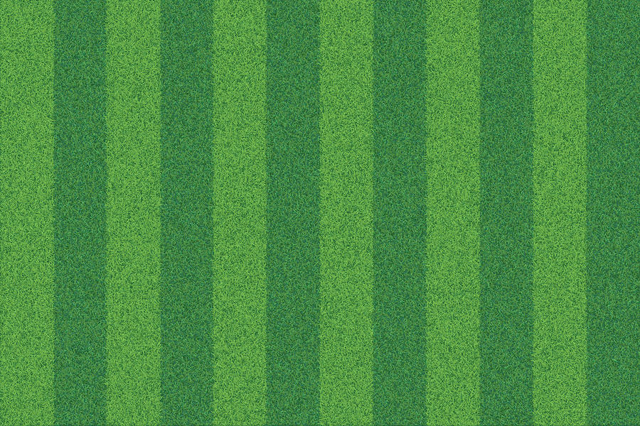 Green grass striped realistic textured background Drawing by Dimitris66