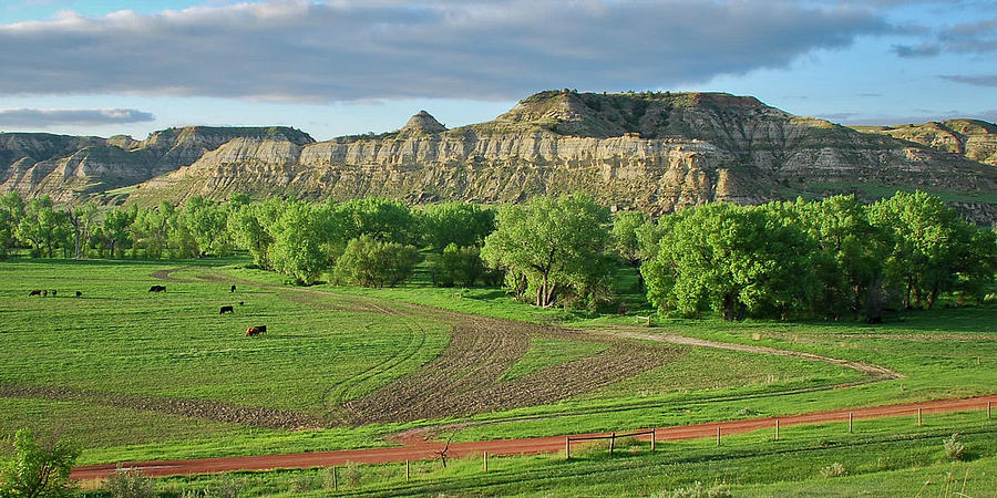 Green Grazing in the Badlands Photograph by Mary Tastad Green Grazing in the Badlands Photograph by Mary Tastad