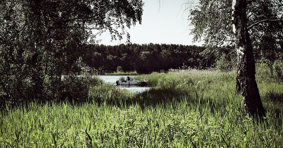 Green Green Grass By The River Latvia / DECEMBER SHOWCASE  Photograph by Aleksandrs Drozdovs