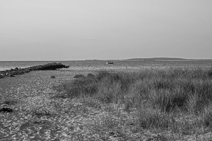 Green Harbor Beach Sea Grass and Jetty Marshfield MA Black and White Photograph by Toby McGuire