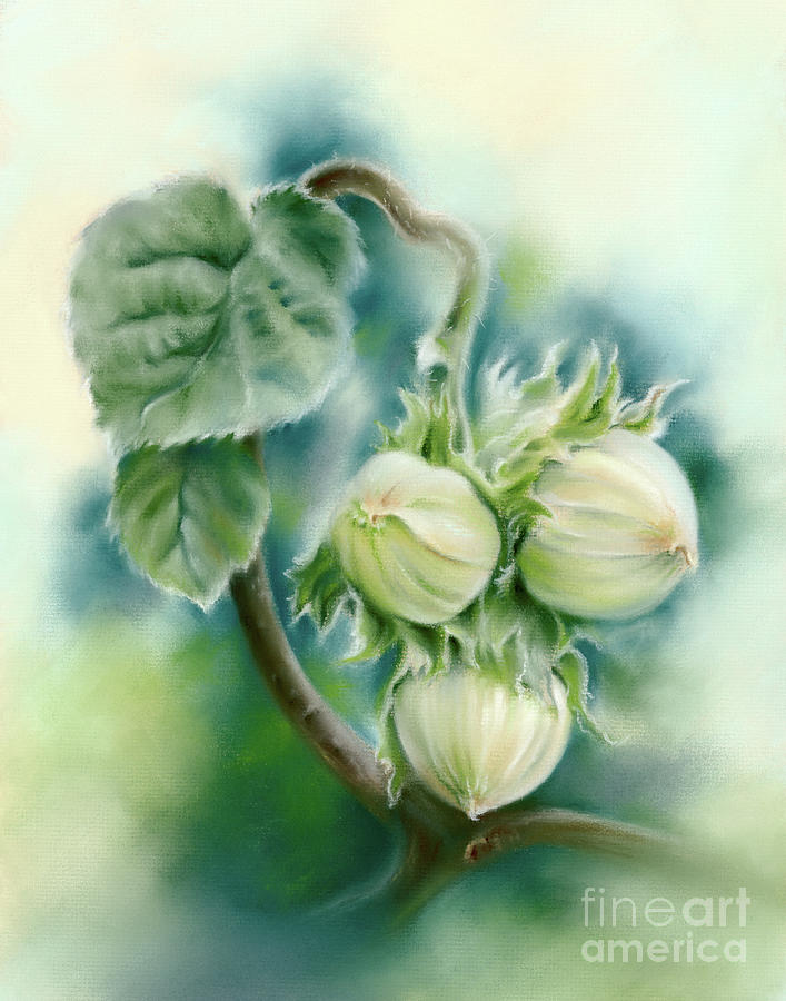 Green Hazelnuts on a Contorted Branch Painting by MM Anderson