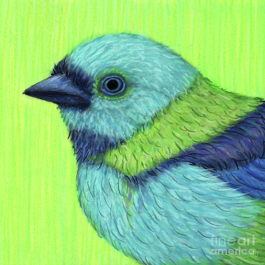 Green Headed Tanager Painting by Amy E Fraser