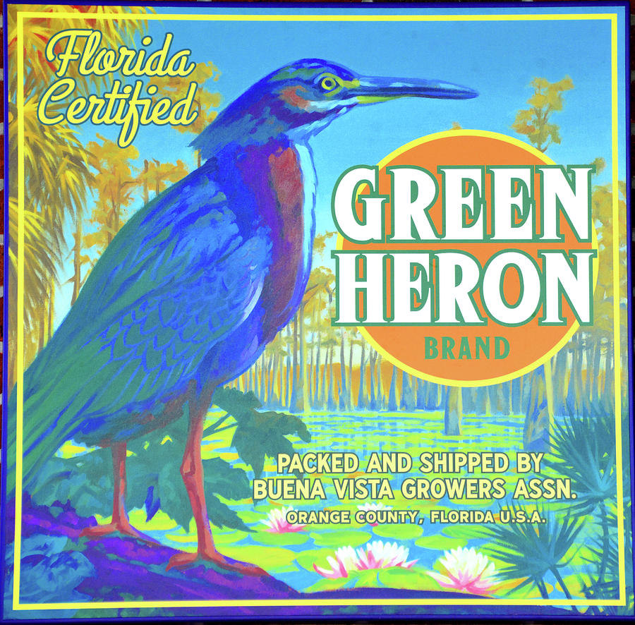 Green Heron citrus label  Photograph by David Lee Thompson