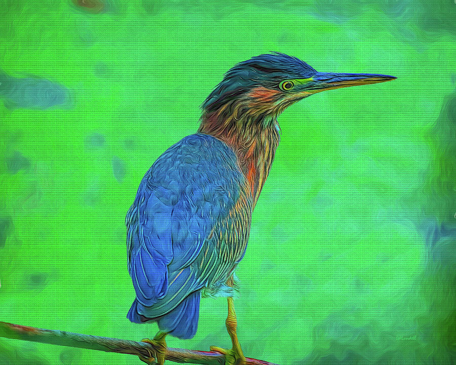 Green Heron on Branch Digital Art by Dennis Lundell