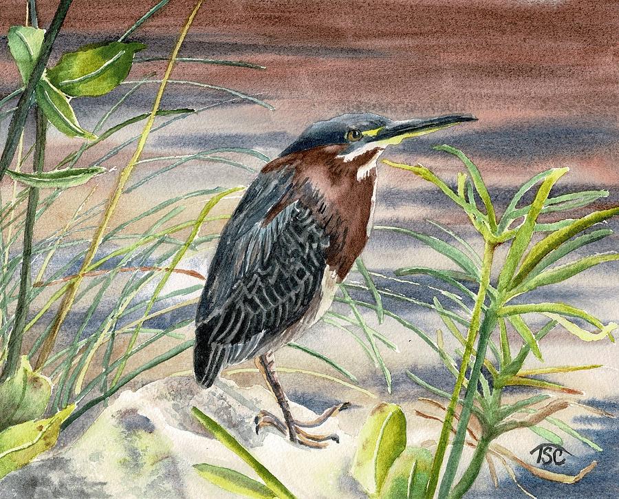 Green Heron Painting by Tammy Crawford
