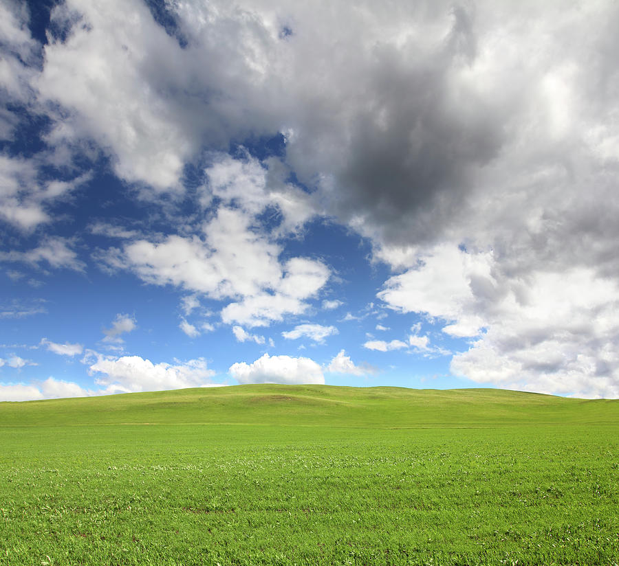 Green Hill With Grass Under Sky Photograph by Mikhail Kokhanchikov