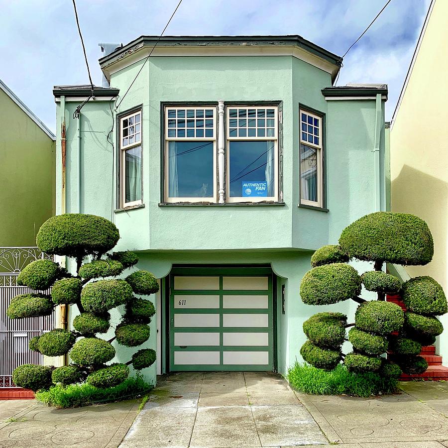 Green House Topiary Photograph by Julie Gebhardt