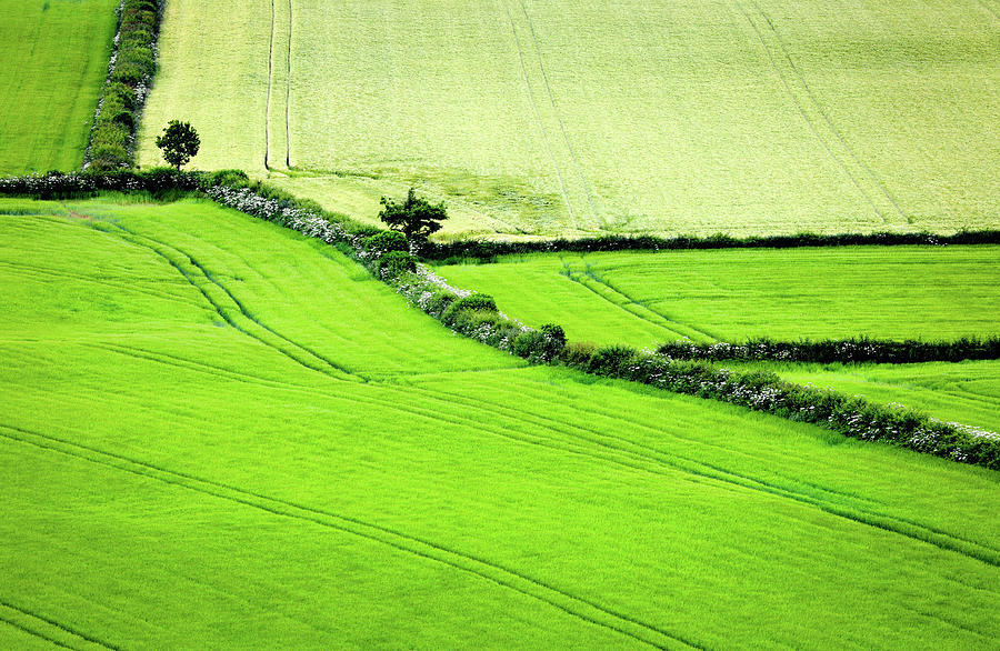 Green Irish Fields Photograph by Sublime Ireland